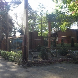 Ogród Zoobotaniczny - Okładka galerii